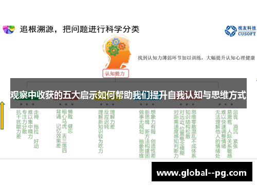 观察中收获的五大启示如何帮助我们提升自我认知与思维方式
