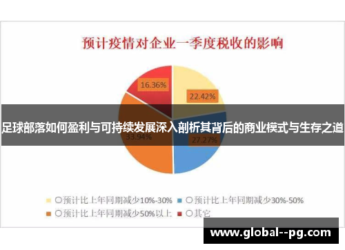 足球部落如何盈利与可持续发展深入剖析其背后的商业模式与生存之道 足球部落如何盈利与可持续发展深入剖析其背后的商业模式与生存之道
