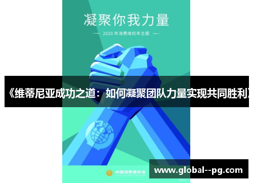 《维蒂尼亚成功之道：如何凝聚团队力量实现共同胜利》