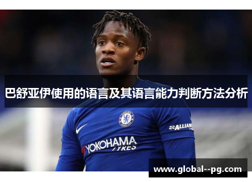 巴舒亚伊使用的语言及其语言能力判断方法分析 巴舒亚伊使用的语言及其语言能力判断方法分析