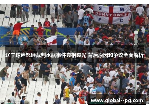 辽宁球迷怒砸裁判水瓶事件真相曝光 背后原因和争议全面解析 辽宁球迷怒砸裁判水瓶事件真相曝光 背后原因和争议全面解析