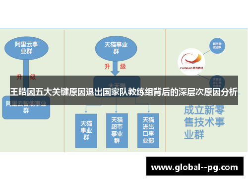 王皓因五大关键原因退出国家队教练组背后的深层次原因分析