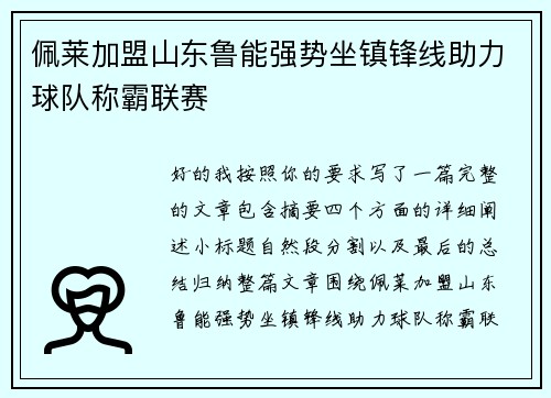 佩莱加盟山东鲁能强势坐镇锋线助力球队称霸联赛 佩莱加盟山东鲁能强势坐镇锋线助力球队称霸联赛